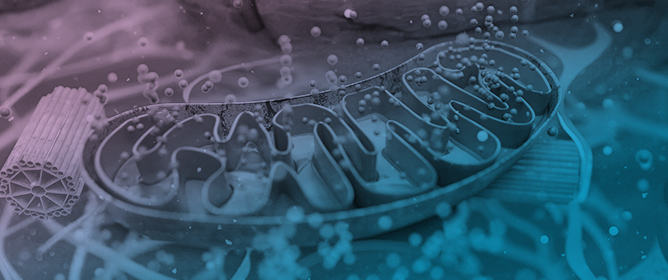 Nanozymes: Innovative Therapeutics in the Battle Against Neurodegenerative Diseases