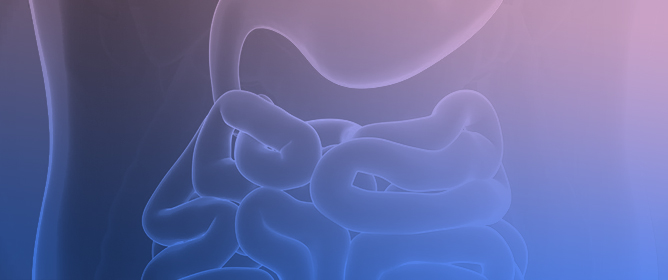 TL1A as a Target in Inflammatory Bowel Disease: Exploring Mechanisms and Therapeutic Potential