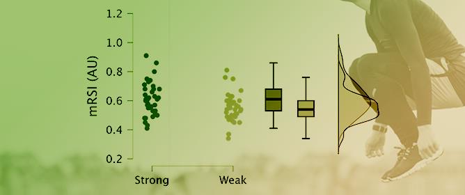Effect of Relative Isometric Strength on Countermovement Jump Performance in Professional and Semi-Professional Soccer Players
