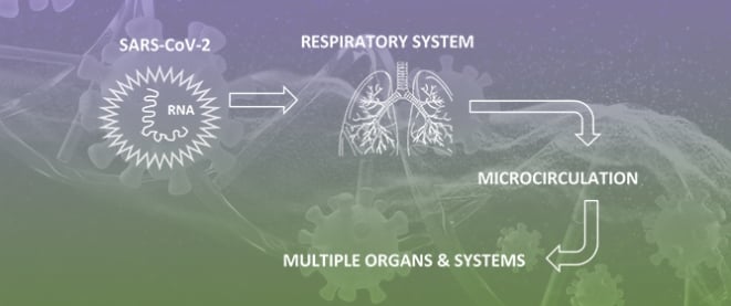 Long COVID Mechanisms, Microvascular Effects, and Evaluation Based on Incidence