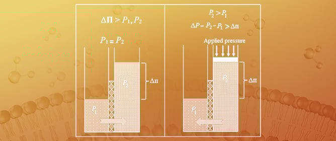 Overcoming the Limitations of Forward Osmosis and Membrane Distillation in Sustainable Hybrid Processes Managing the Water&ndash;Energy Nexus