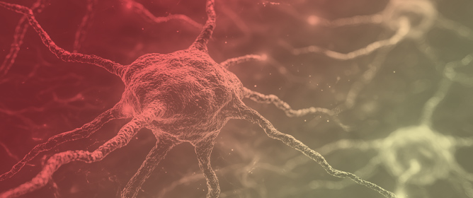 Advancements in Peripheral Nerve Injury Research Using Lab Animals