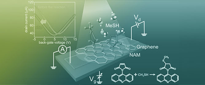Gate Engineering in Two-Dimensional (2D) Channel FET Chemical Sensors: A Comprehensive Review of Architectures, Mechanisms, and Materials