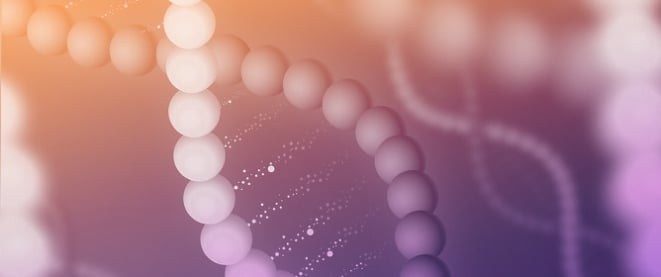 Genetic Features of Tumours Arising in the Context of Suspected Hereditary Cancer Syndromes with <em>RAD50</em>, <em>RAD51C/D</em>, and <em>BRIP1</em> Germline Mutations, Results of NGS-Reanalysis of BRCA/MMR-Negative Families