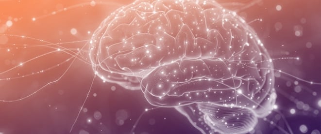 SYNGAP1 Syndrome and the Brain Gene Registry