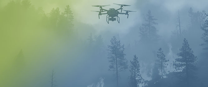 Using Drones to Estimate and Reduce the Risk of Wildfire Propagation in Wildland&ndash;Urban Interfaces