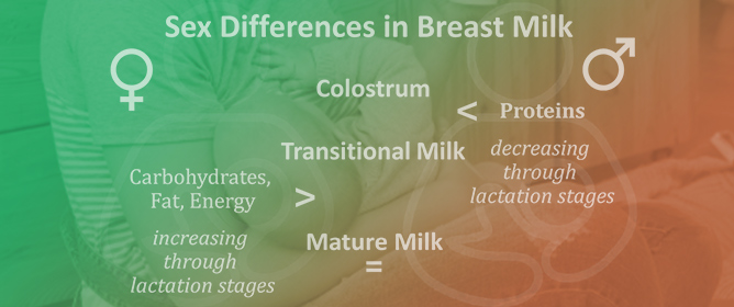 From Mother&ndash;Fetus Dyad to Mother&ndash;Milk&ndash;Infant Triad: Sex Differences in Macronutrient Composition of Breast Milk