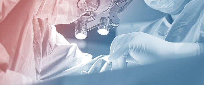 Enhanced Recovery After Cardiac Surgery for Minimally Invasive Valve Surgery: A Systematic Review of Key Elements and Advancements