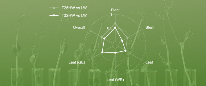 Elevated Growth Temperature Modifies Drought and Shade Responses of <em>Fagus sylvatica</em> Seedlings by Altering Growth, Gas Exchange, Water Relations, and Xylem Function