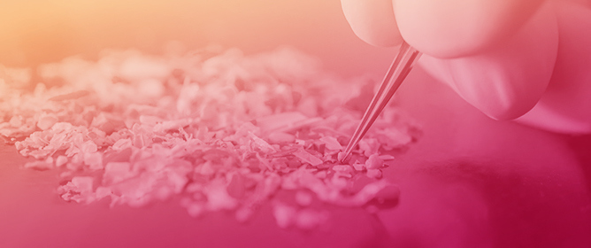 A Review on Materials for the Removal of Micro and Nano Plastics from Different Environments