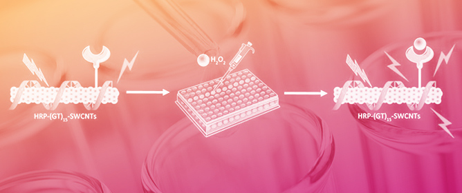 Advances in Nanostructured Fluorescence Sensors for H<sub>2</sub>O<sub>2</sub> Detection: Current Status and Future Direction