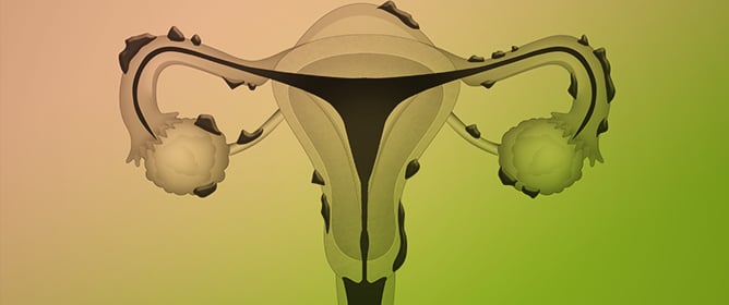 Progress in the Biomedical Application of Biopolymers: An Overview of the Status Quo and Outlook in Managing Intrauterine Adhesions
