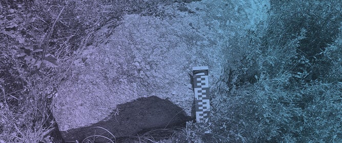 Geosystem Services of Erratic Boulders in Selected Regions of Central Poland