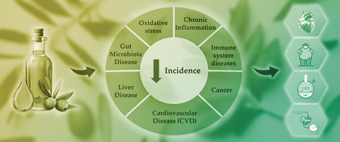 Exploring the Benefits of Extra Virgin Olive Oil on Cardiovascular Health Enhancement and Disease Prevention: A Systematic Review
