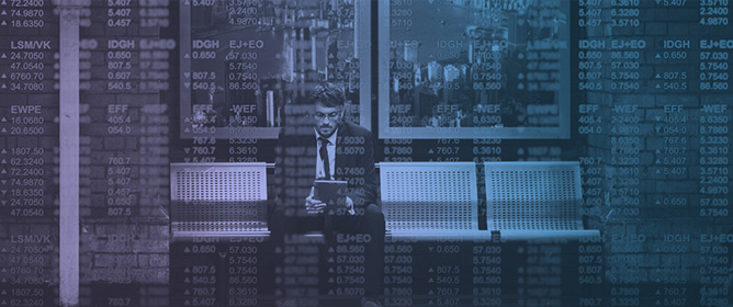 XAI Algorithm for Portfolio Recommendation Using DeepSeek