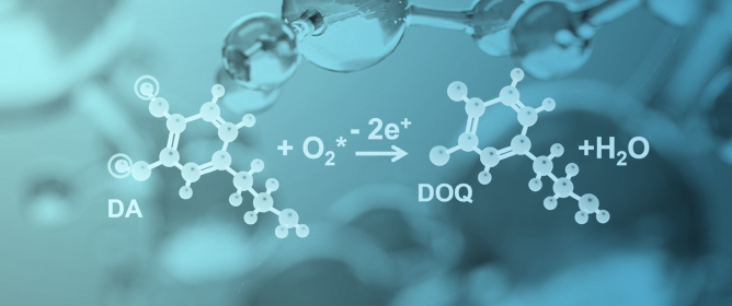 Rapid and Highly Selective Dopamine Sensing with CuInSe2-Modified Nanocomposite