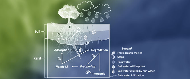 The Use of Fluorescent Organic Matter as a Natural Transit Time Tracer in the Unsaturated Zone of the Fontaine De Vaucluse Karst System