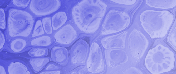 <em>Angelica keiskei</em> Extract in Hepatocellular Carcinoma