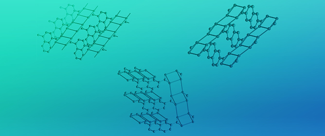 Hydrogen-Bonded Ladder Motifs in Naphthalene Dicarboxamides: Influence of Linear vs. Angular Amide Orientation