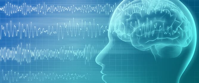 Contribution of the EEG in the Diagnostic Workup of Patients with Transient Neurological Deficit and Acute Confusional State at the Emergency Department: The EMINENCE Study