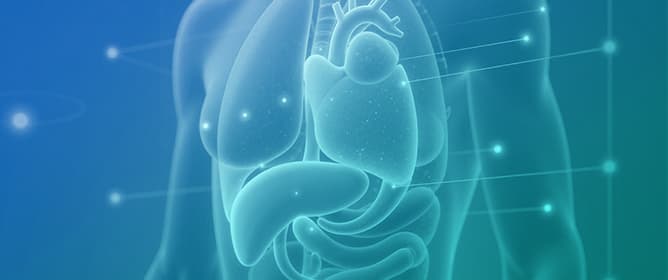 The Association of Heart Failure and Liver T1 Mapping in Cardiac Magnetic Resonance Imaging