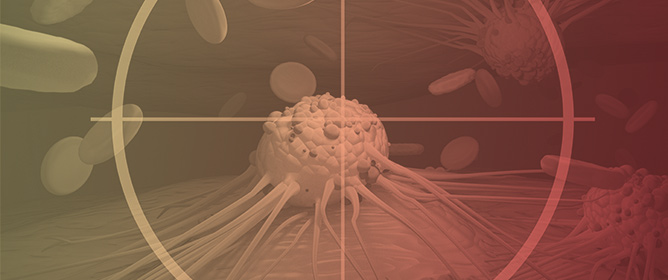 Beyond TKIs: Advancing Therapeutic Frontiers with Immunotherapy, Targeted Agents, and Combination Strategies in Resistant Chronic Myeloid Leukemia