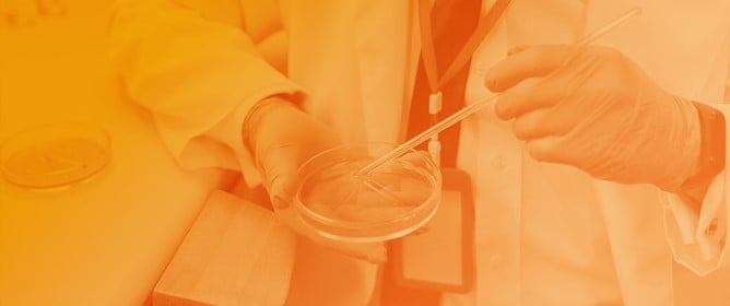 Liquid Biopsy for Colorectal Cancer: Advancing Detection and Clinical Application