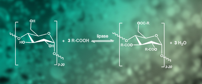 Solvent-Free Lipase-Catalysed Esterification of Potato Maltodextrins