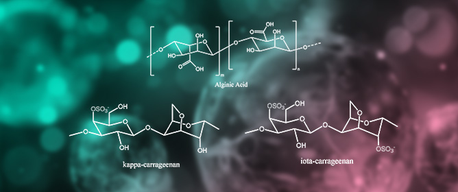 Adsorption of Heavy Metal Ions from Multi-Ion Solutions Using Polysaccharide Hydrogels