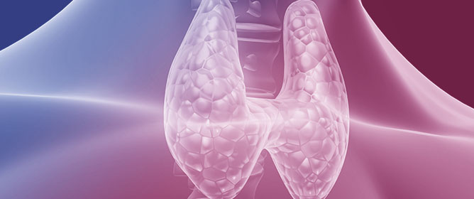 CRABP1 Signalosomes in Non-Canonical Actions of Retinoic Acid&mdash;Maintaining Health and Preventing Thyroid Dysfunction in Aging