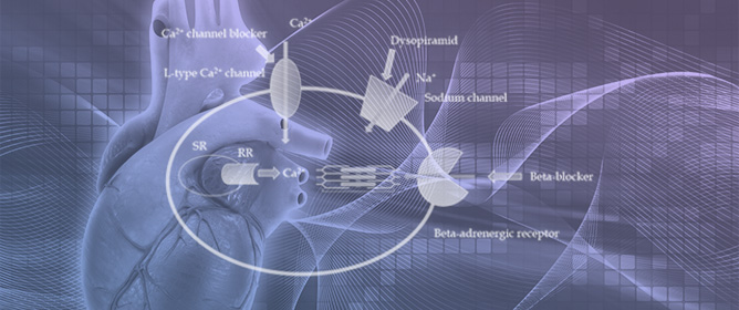 Integrative Approaches in the Management of Hypertrophic Cardiomyopathy: A Comprehensive Review of Current Therapeutic Modalities