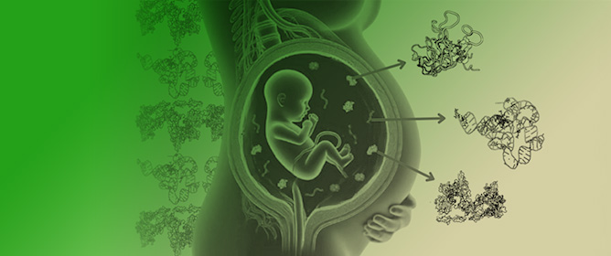 Molecular Biomarkers for Timely and Personalized Prediction of Maternal-Fetal Health Risk