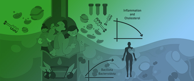 Unraveling the Extra Virgin Olive Oil Effect on Inflammation and on Gut and Saliva Microbiota