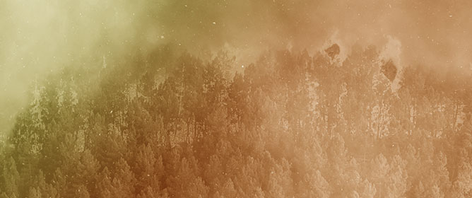 Wind and Slope Influence on Wildland Fire Spread, a Numerical Study