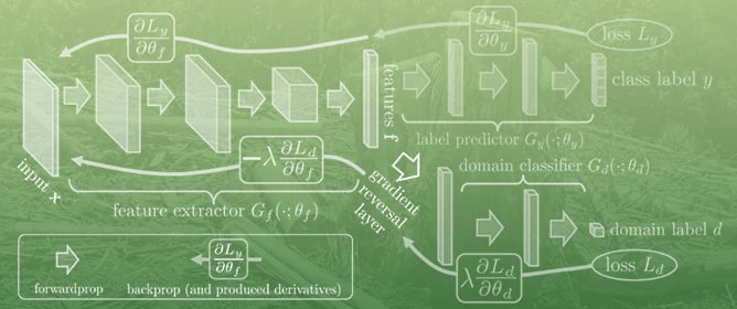 Enhancing Deforestation Detection Through Multi-Domain Adaptation with Uncertainty Estimation