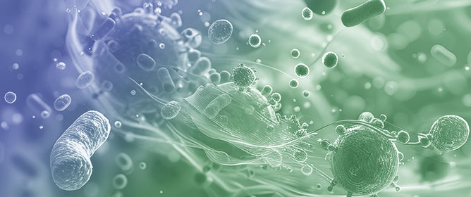 Bacterial Sialidases: Biological Significance and Application