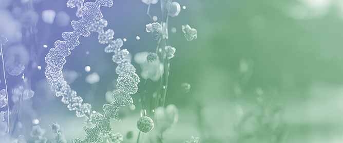 A Flow Cytometry Protocol for Measurement of Plant Genome Size Using Frozen Material