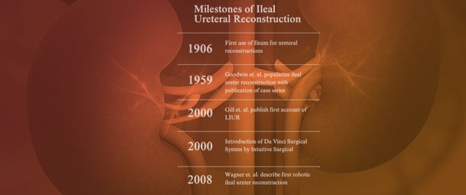 Ileal Ureter Replacement: Foundations, Robotic Advances, Horizons