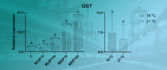 Unveiling the Effects of Two Polycyclic Aromatic Hydrocarbons and Two Temperatures on the Trout RTL-W1 Cell Line Expression of Detoxification-Related Target Genes