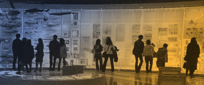 DNA Specimen Preservation Using DESS and DNA Extraction in Museum Collections