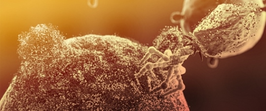 Metagenomics as a Transformative Tool for Antibiotic Resistance Surveillance: Highlighting the Impact of Mobile Genetic Elements with a Focus on the Complex Role of Phages