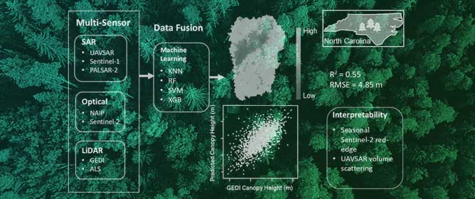 AI‑Driven Optical-SAR Fusion for Canopy Height Estimation in SE North Carolina