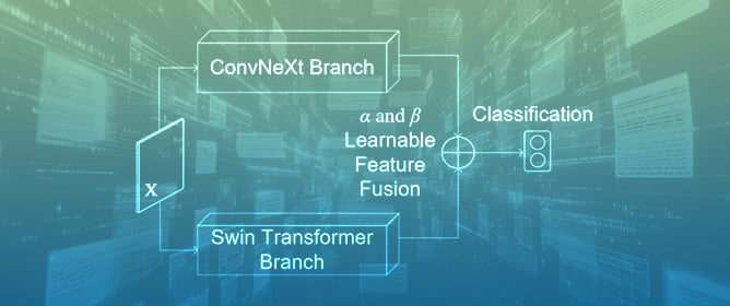 A Hybrid Learnable Fusion of ConvNeXt and Swin Transformer for Optimized Image Classification