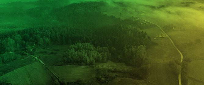 Aboveground Biomass and Tree Mortality Revealed Through Multi-Scale LiDAR Analysis