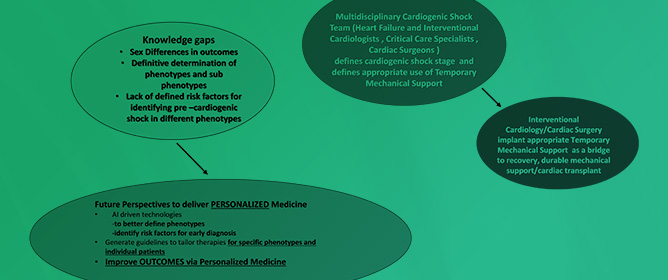 Temporary Mechanical Support in Cardiogenic Shock Secondary to Heart Failure: An Evolving Paradigm