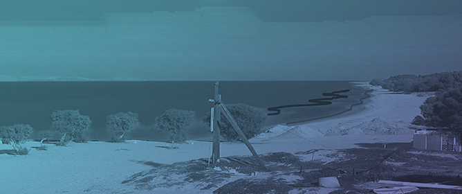 Surf and Swash Zone Dynamics from High-Frequency Observations at a Microtidal Low-Energy Dissipative Beach