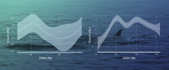 Sea Ice as a Driver of Fin Whale (<em>Balaenoptera physalus</em>) 20 Hz Acoustic Presence in Eastern Antarctic Waters