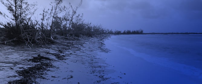 Visualization of Coastal Carbonate Lithosomes: Color-Intensity Patterns and Georadar Imaging of a Semi-Lithified Strandplain, Eleuthera Island, The Bahamas