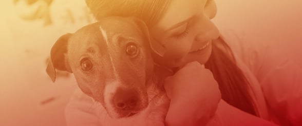 Nurses&rsquo; Best Friend? The Lived Experiences of Nurses Who Utilized Dog Therapy in the Workplace