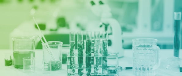 Molecular Insight and Antioxidative Therapeutic Potentials of Plant-Derived Compounds in Breast Cancer Treatment